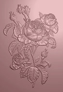 Nature's Garden Vintage Rose 3D Embossing Folder 5"X7" Timeless Roses
