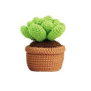 Universal Crafts Crochet DIY Kit - Plant*