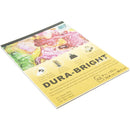 Grafix Dura-Bright Opaque White Pad .010 inch thick x 9inch x12inch, 12 Sheets