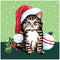 Plaid Modern Paint By Number Rolled Canvas 14"x 14" - Christmas Kitten*