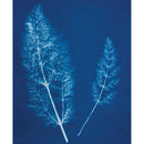 Jacquard Cyanotype Chemistry Set