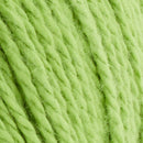 Premier Yarns Cotton Sprout Yarn - Lime 100g