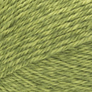 Lion Brand Heartland Yarn - Haleakala