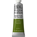 Winsor & Newton Winton Oil Colour 37ml - Sap Green