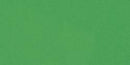 Bazzill Smoothies Cardstock 12"X12" - Green Apple/Smoothies*