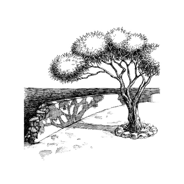 Poppy Crafts Clear Stamps #292 - Tree By The Sea - 14cm x 14cm