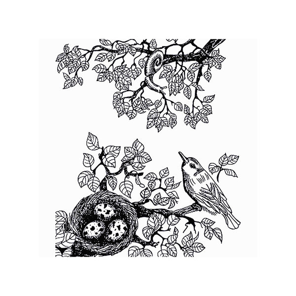 Poppy Crafts Clear Stamps #306 - The Nest - 11cm x 16cm