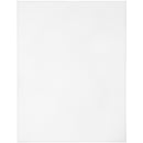 Cousin Plastic Canvas 10 Count 10.5"X13.5" - White