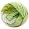Premier Yarns Home Cotton Yarn - Multi - Sprout Stripe - 60g