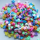 Dress My Crafts Shaker Elements 8gm - Multicolored Stars