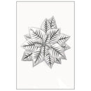 Sizzix 3D Impresslits Embossing Folder By Kath Breen - Poinsettia*
