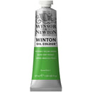 Winsor & Newton Winton Oil Colour 37ml - Phthalo Yellow Green