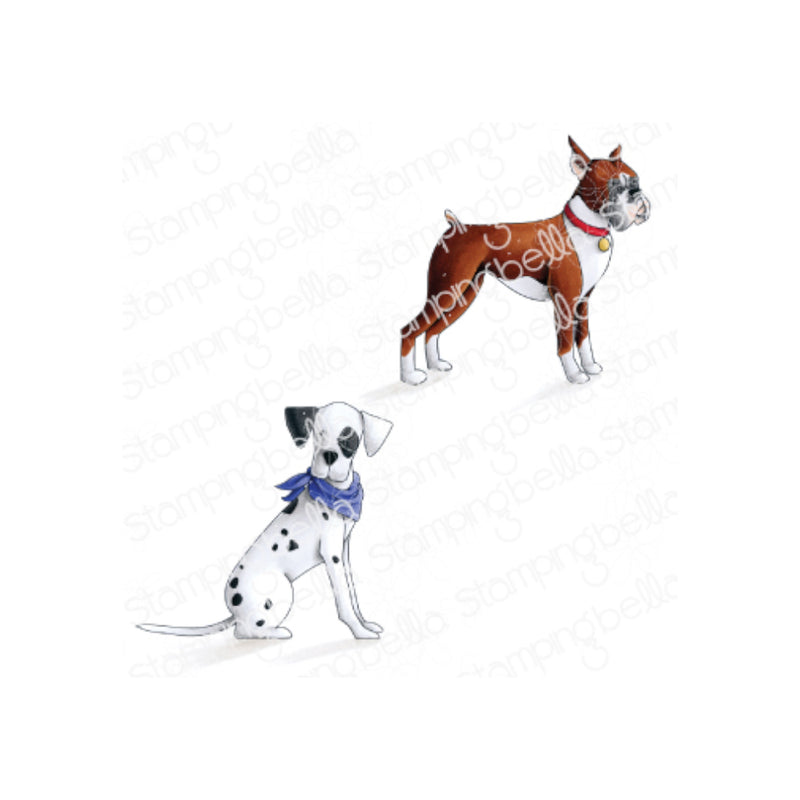 Stamping Bella Cut It Out Dies - Boxer & Dalmation*