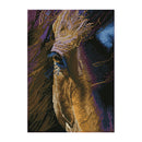 Diamond Dotz Diamond Art Kit 16.3"x11.6" - Star*