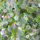 Dress My Crafts Sequins 25gms Kiwi Mix*