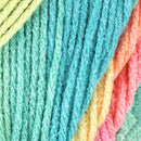 Red Heart Super Saver Yarn - Retro Stripe 141g