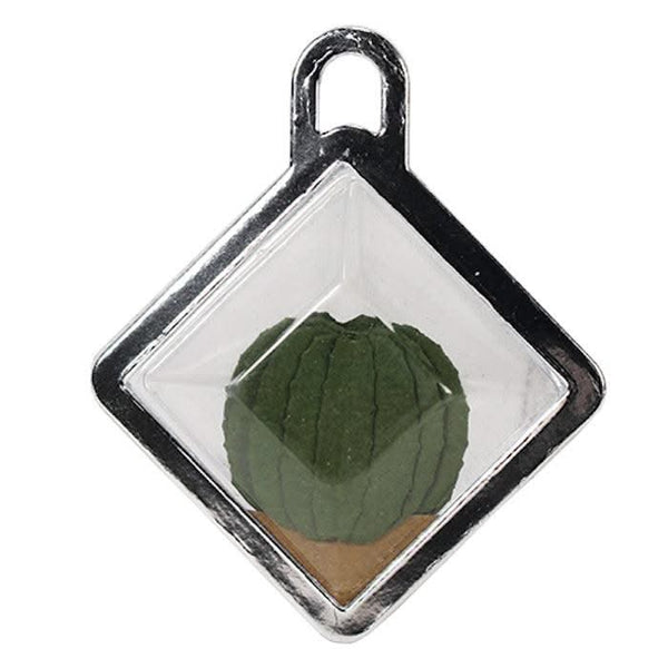 i-crafter Dies - Mini Succulent Terrarium*