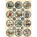 Stamperia Wooden Shapes A5 - Cosmos Infinity