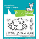 Lawn Fawn Clear Stamps 3"X2" (7.5cm x 5cm) So Dam Much
