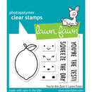 Lawn Fawn Clear Stamps 3"X2" (7.5cm x 5cm) You're The Zest*