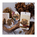 Poppy Crafts Fate Symphony Gold Foil Sticker collection - Vintage Measuring*