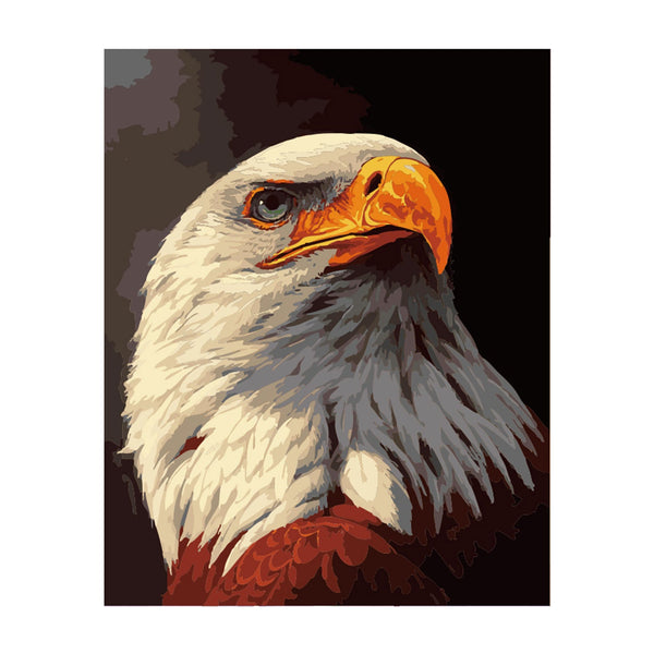 Poppy Crafts Paint By Numbers 16x20inch - Bald Eagle*