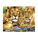 Poppy Crafts Paint By Numbers 16x20inch - Lion Family*