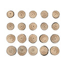 Tim Holtz Idea-Ology Wood Slices 15 pack - Natural Raw Edge 1" To 1.25"^