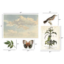 Tim Holtz Idea-Ology Layers Die-Cuts (45-pack) - Organic