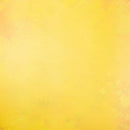 Scenic Route Paper Co - Dandilion Daze 12in x 12in Single Sheet Paper*