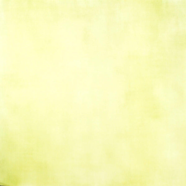 Scenic Route Paper Cardstock 12x12 Single Sheet - Light Green Linen