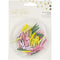 Crafter's Companion - Violet Studio Tropical Mini Pegs 35 pack*