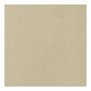 American Crafts 12Inx12in Textured Cardstock - Sand - Single Sheet