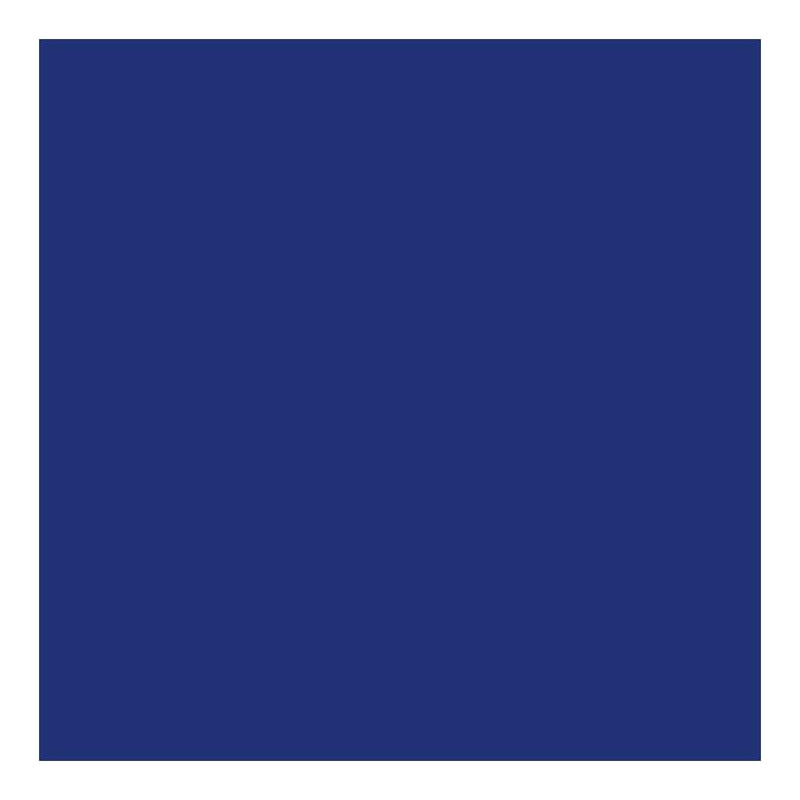 DecoArt - Stylin Paint 2oz - Blue*