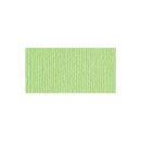 Bazzill - Bling Cardstock 12inch X12inch - Petty Cash - 80lb cardstock