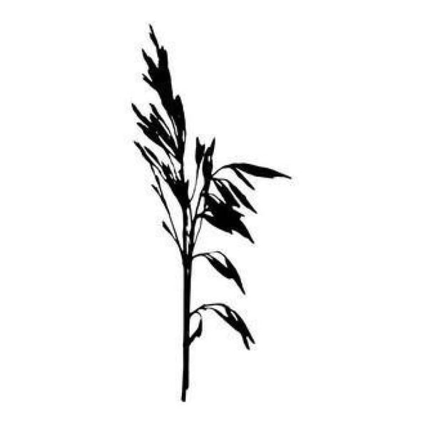 Magenta Cling Stamps 2.5In.X5.5In. Wild Herbs