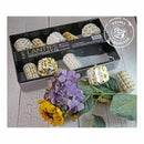 Prima Marketing Lanties 10 Led Light String 5.5' - Celebration