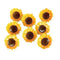 Eyelet Outlet Shape Brads 12 pack - Sunflower
