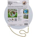 FolkArt Gallery Glass Surface - Large Circle 10"*