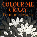 Petaloo Colour Me Flowers