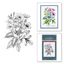 Spellbinders BetterPress Letterpress System Press Plates Pressed Bouquet 1/Pkg*
