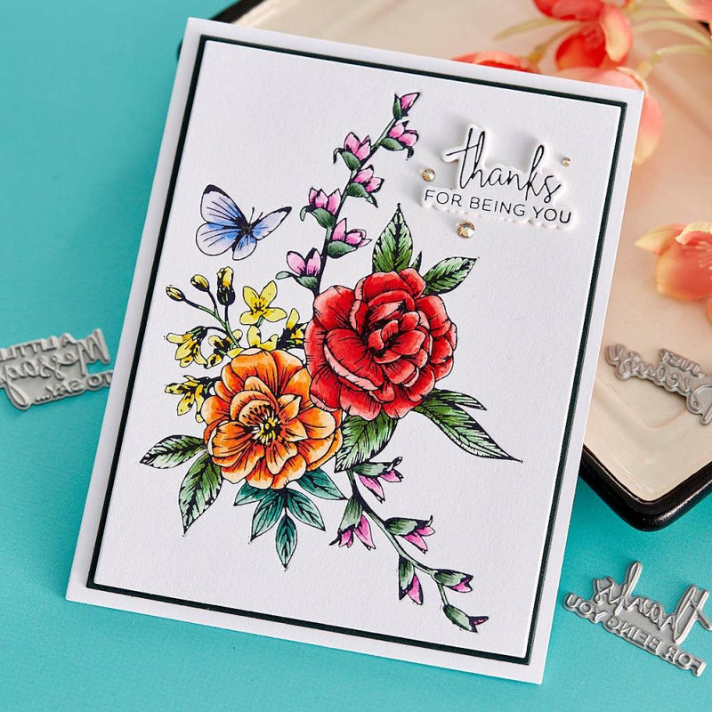 Spellbinders BetterPress Letterpress Press Plates &  Dies Set A Little Message 12/Plates &  12/Dies