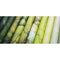 Craft Consortium Double-Sided Paper Pad 12"X12" 30/Pkg Ink Drops - Organic, 20 Designs