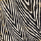 Crafter's Companion Sara Signature Wild At Heart Paper Pad 6"X6"*