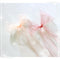 Memory Place Trim Sheer Glitter Ribbon 2.3"X 1yd Strawberry/ Peach