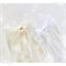 Memory Place Trim Sheer Glitter Ribbon 2.3"X 1yd Snow/ Vanilla