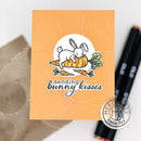 Hero Arts Clear Stamp & Die Combo Spring Bunny