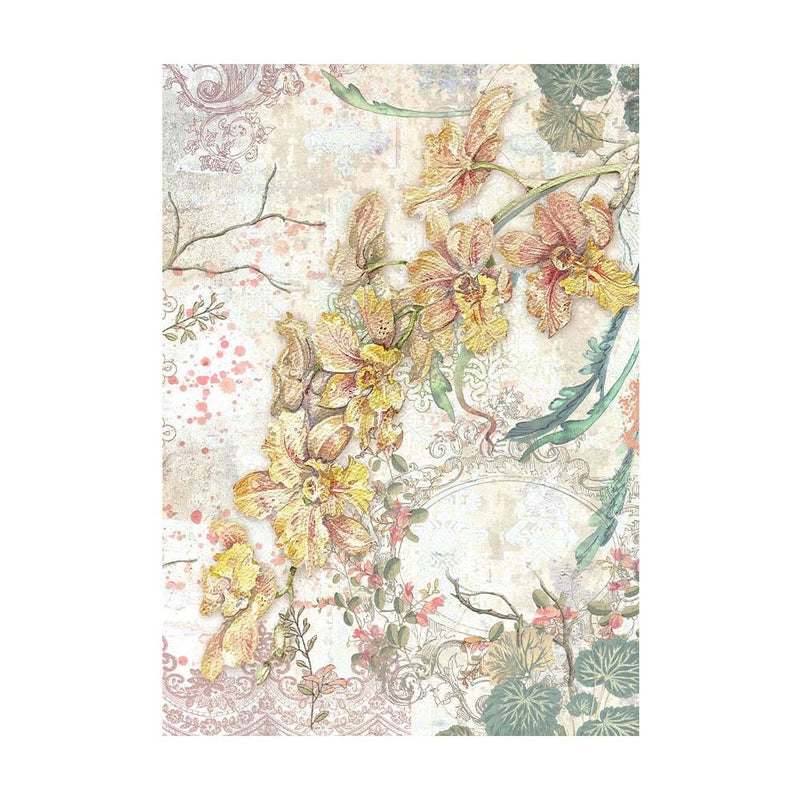 Stamperia Assorted Rice Paper Backgrounds A6 8/Sheets - Orchids & Cats