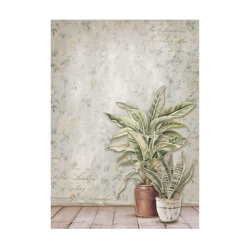 Stamperia Assorted Rice Paper Backgrounds A6 8/Sheets - Golden Harmony