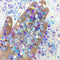 Dress My Craft Sequins 8gms Shining Swan Purple Mix